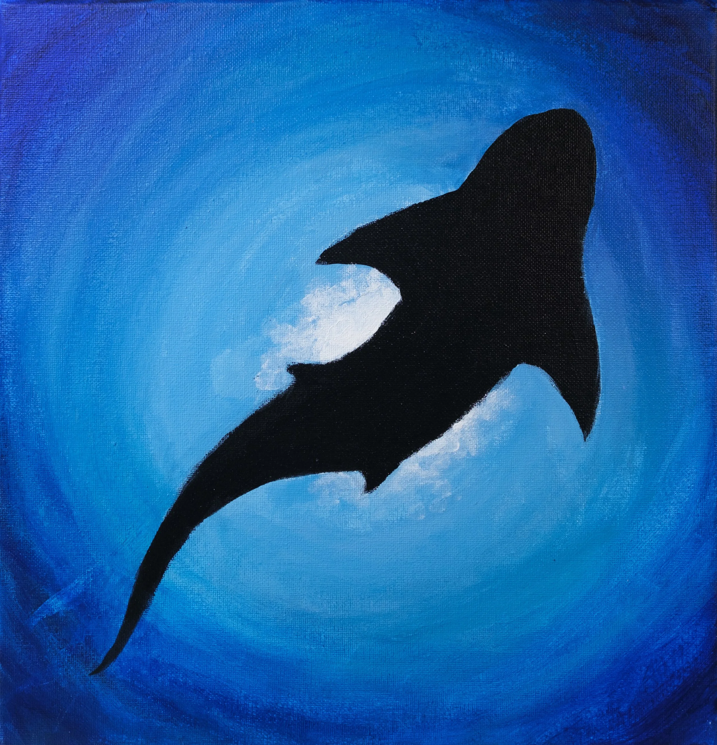 Mia Corrine Downey - Portal Shark.jpeg