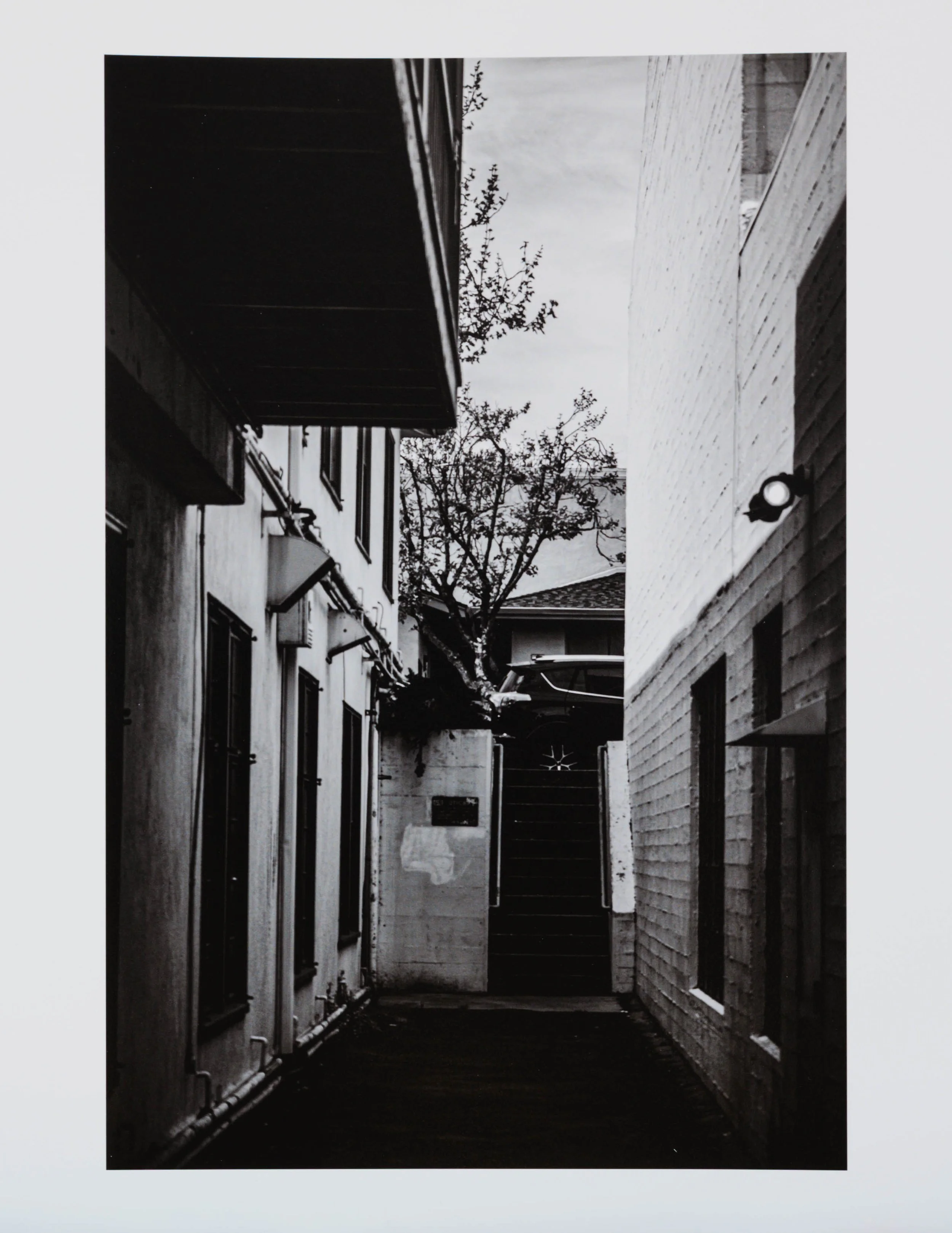 Elliott Peartree