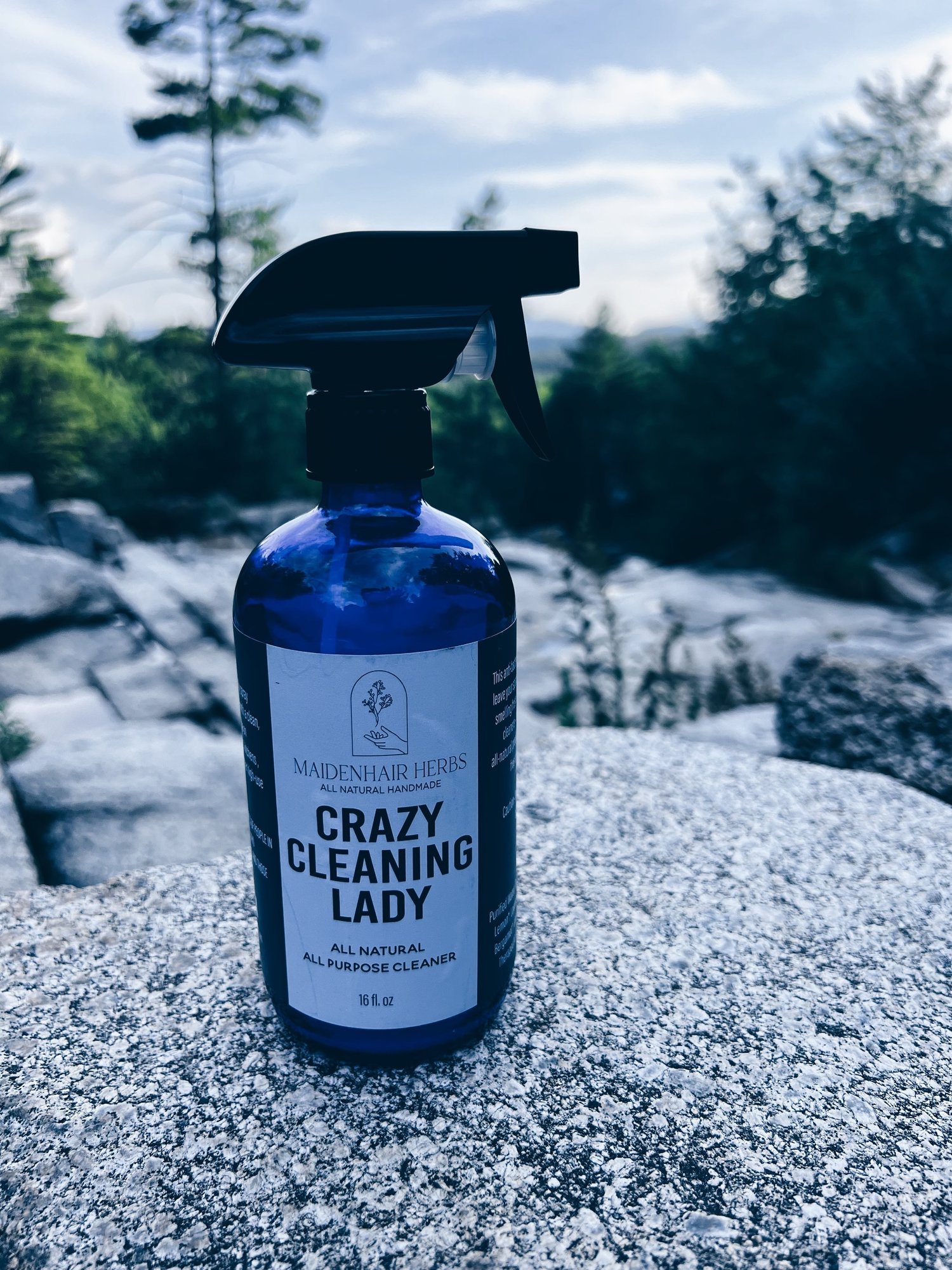 Crazy Cleaning Lady All Purpose Cleaner — Maidenhair Herbs