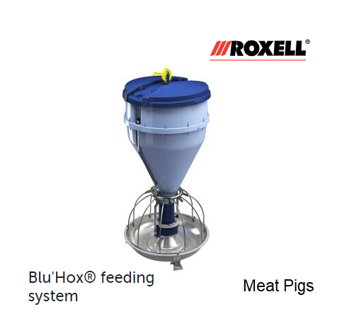 Blue Hox - Meat Pigs.png