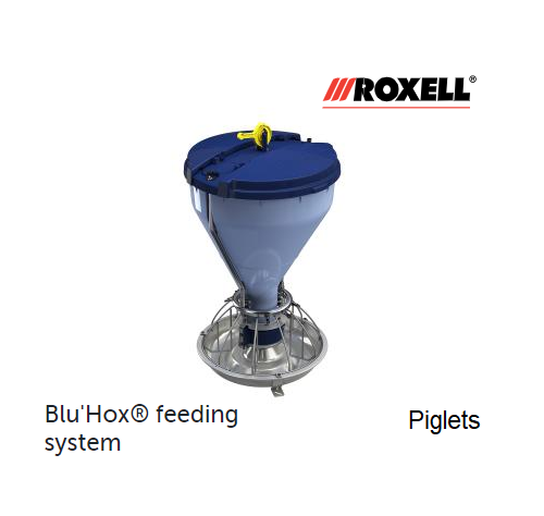 Blue Hox - Piglets.png