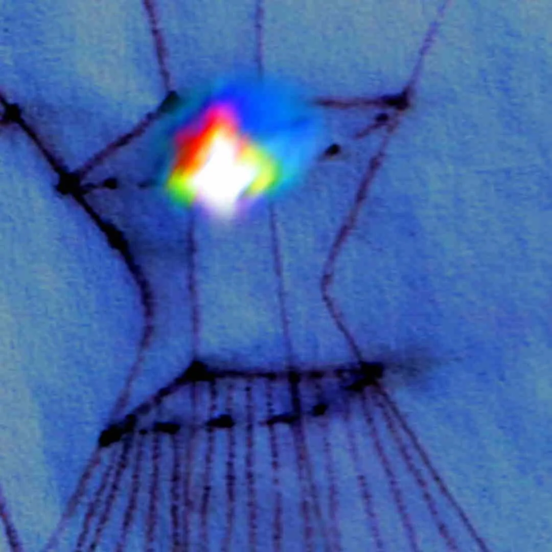 blue funnel light.jpg