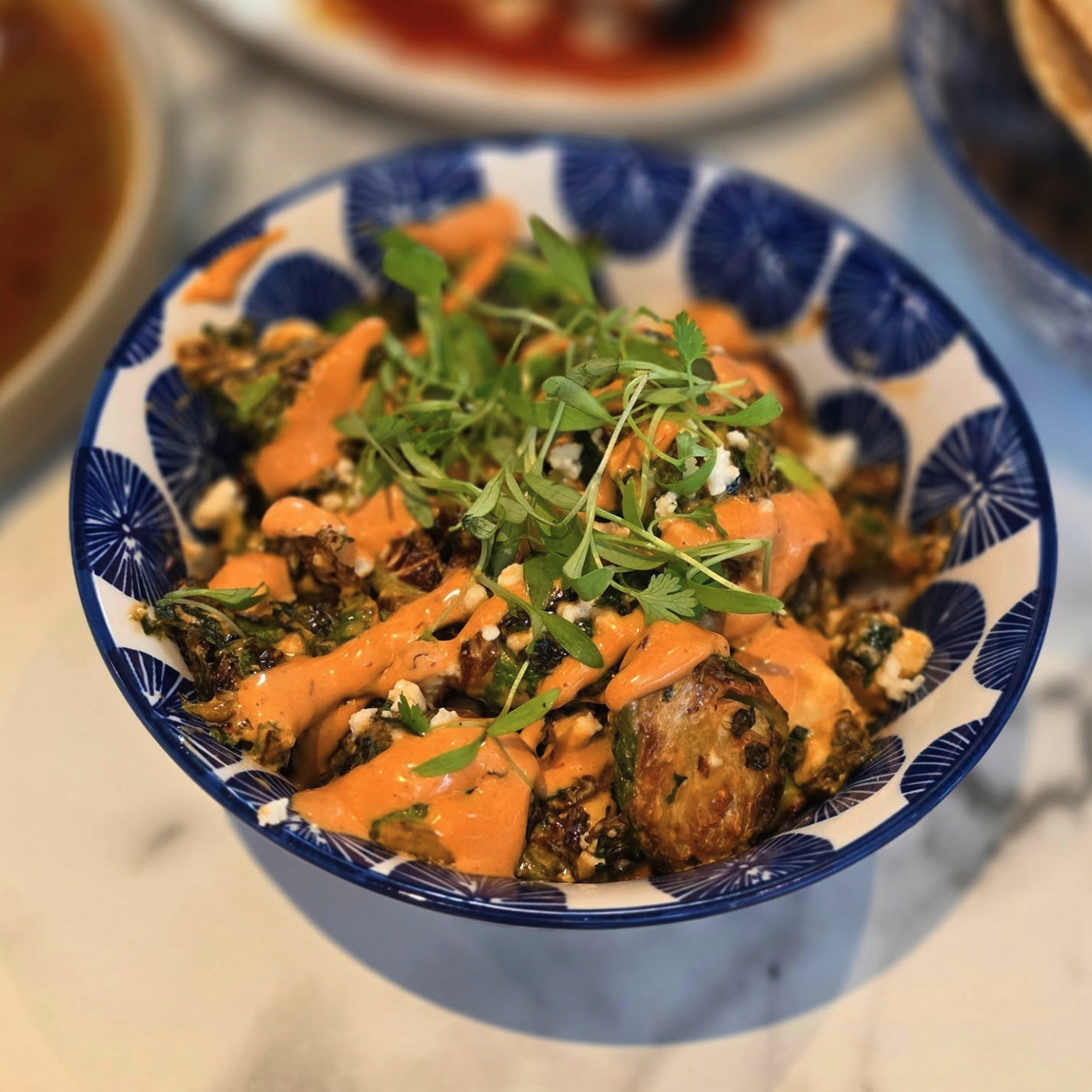 Screenshot 2026-02-12 at 11.23.10 AM.png