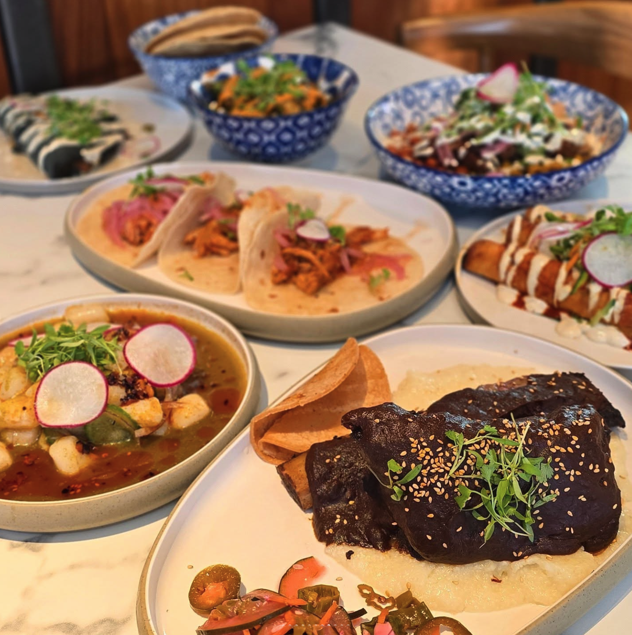 Screenshot 2026-02-12 at 11.23.19 AM.png