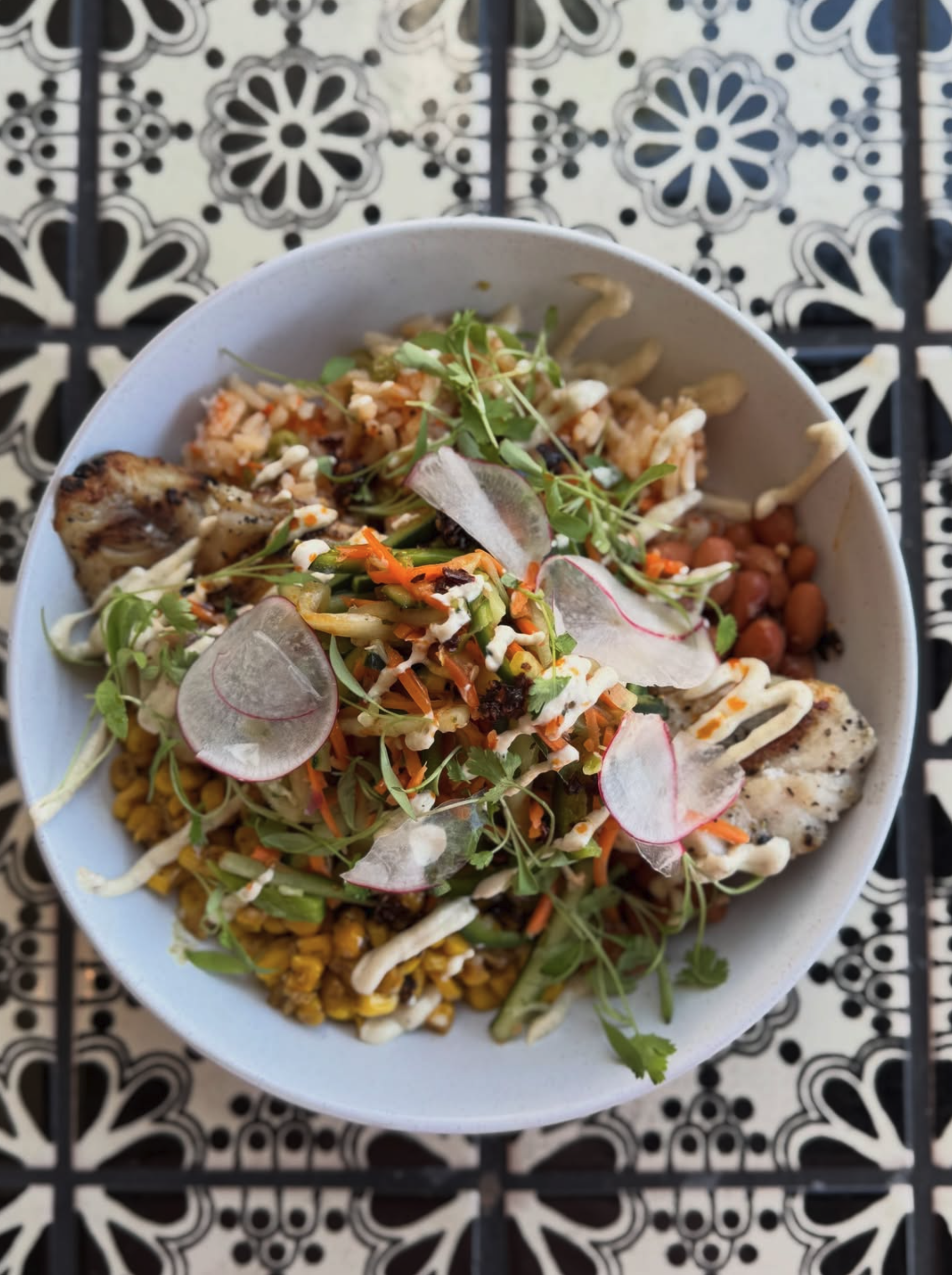 Screenshot 2026-02-12 at 11.21.42 AM.png