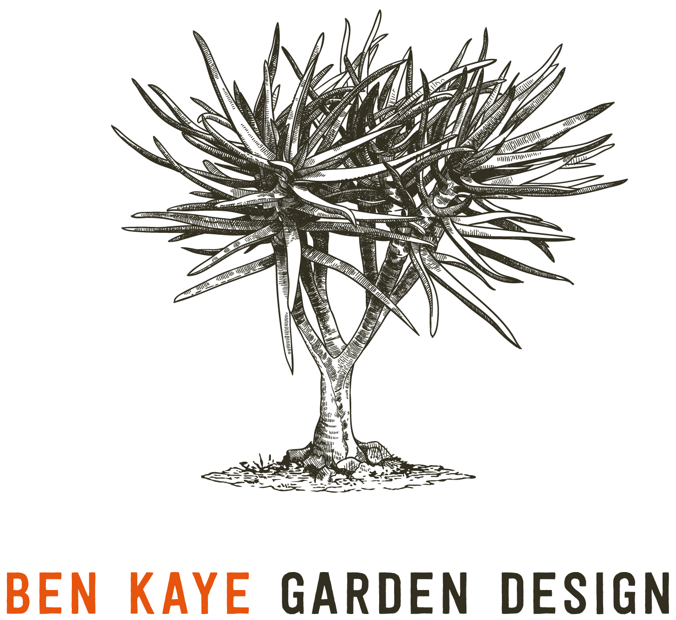 ben kaye garden design