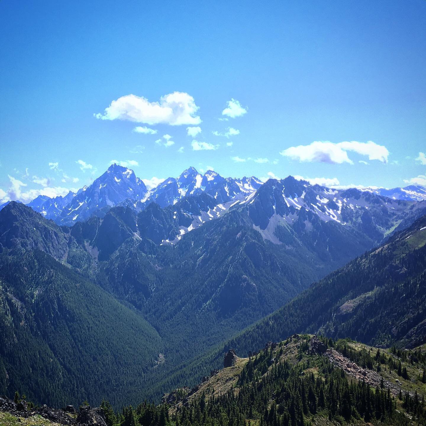 It was due time for some Olympics....

-
-
-
-
-
-
- #olympicnationalpark #buckhornwilderness #pnw #wander #hikingadventures #getoutdoors #olympics2020 #picturedoesnojustice