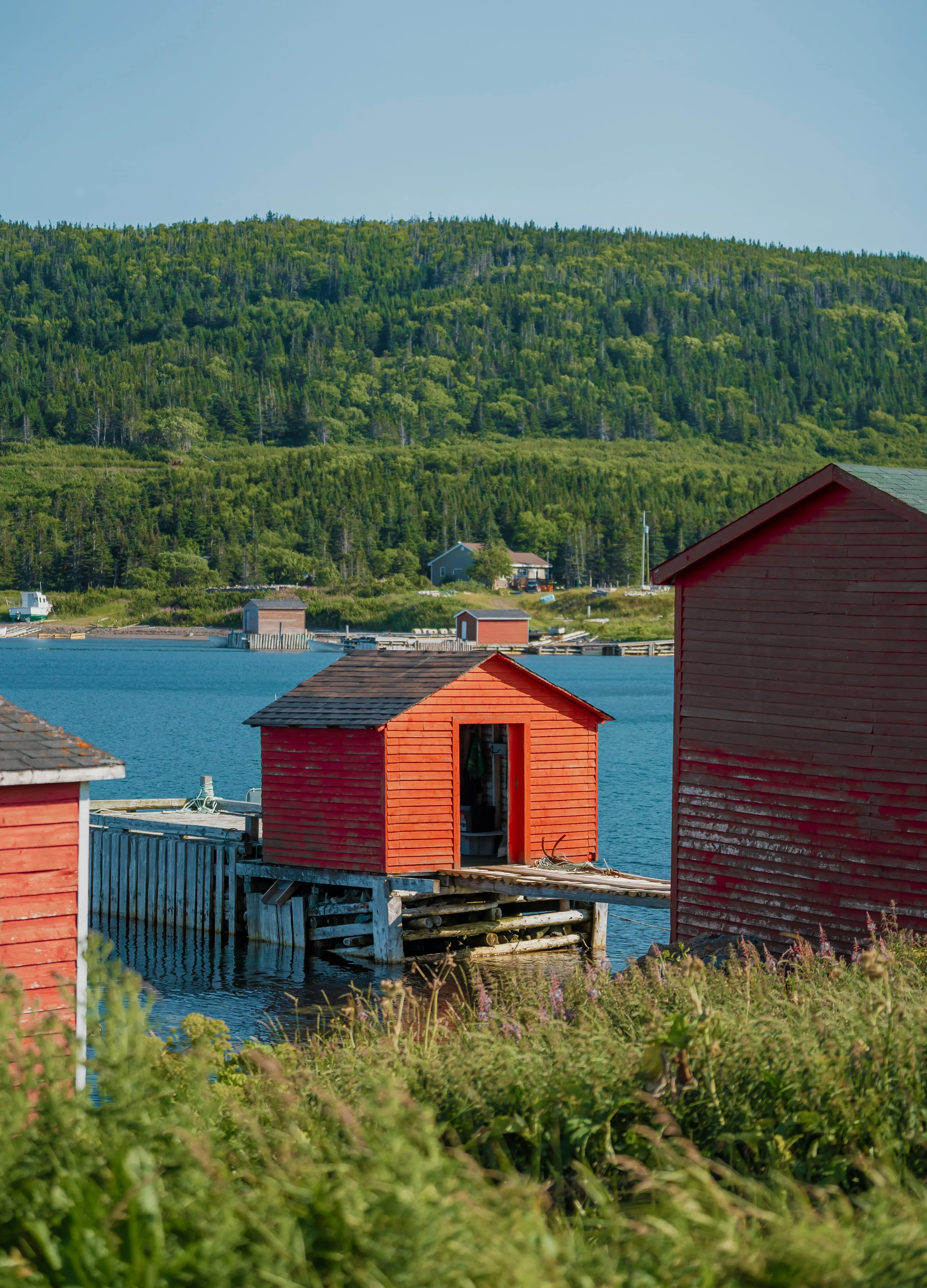_DSC1550.jpg