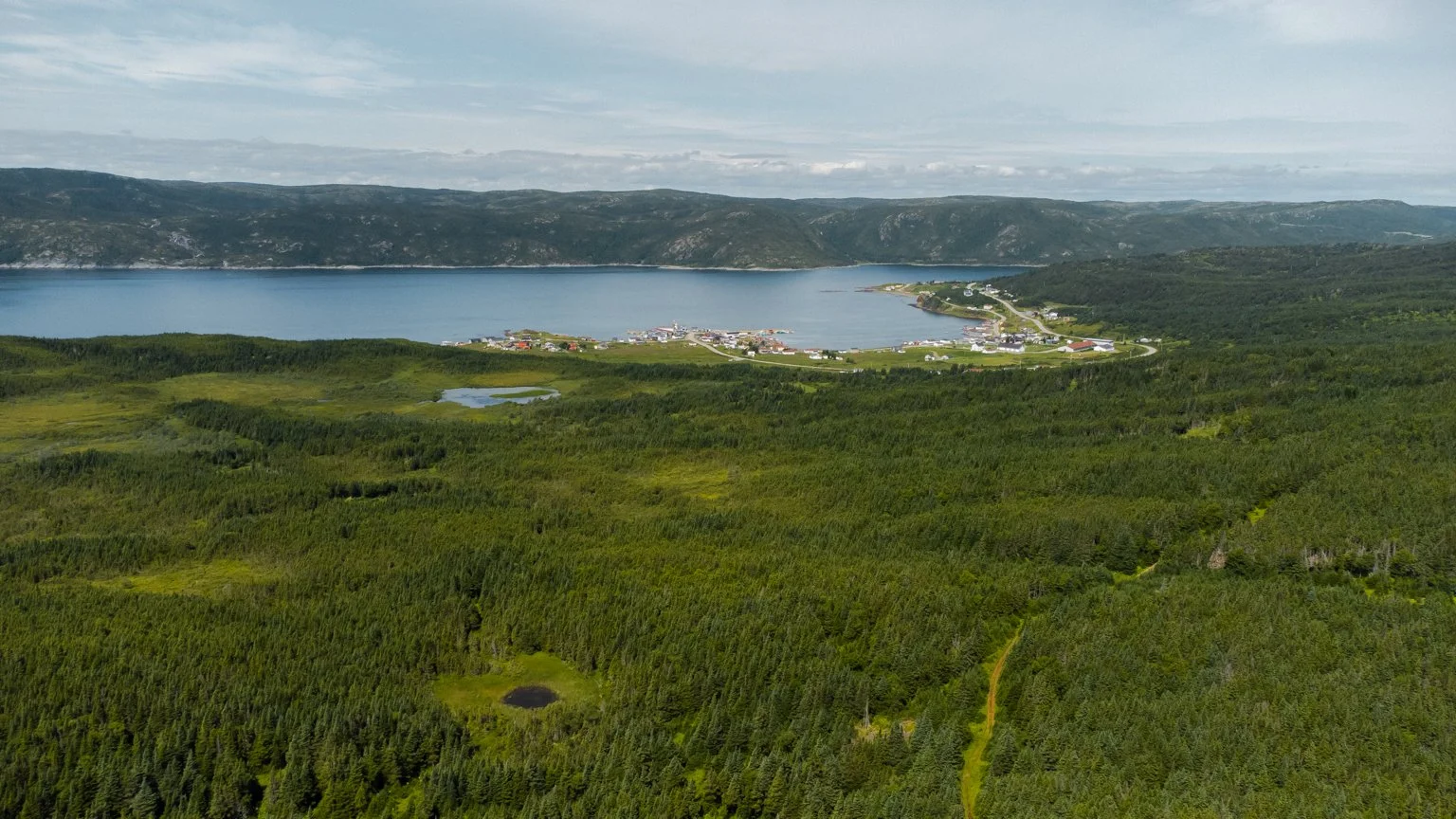 DJI_0568.jpg