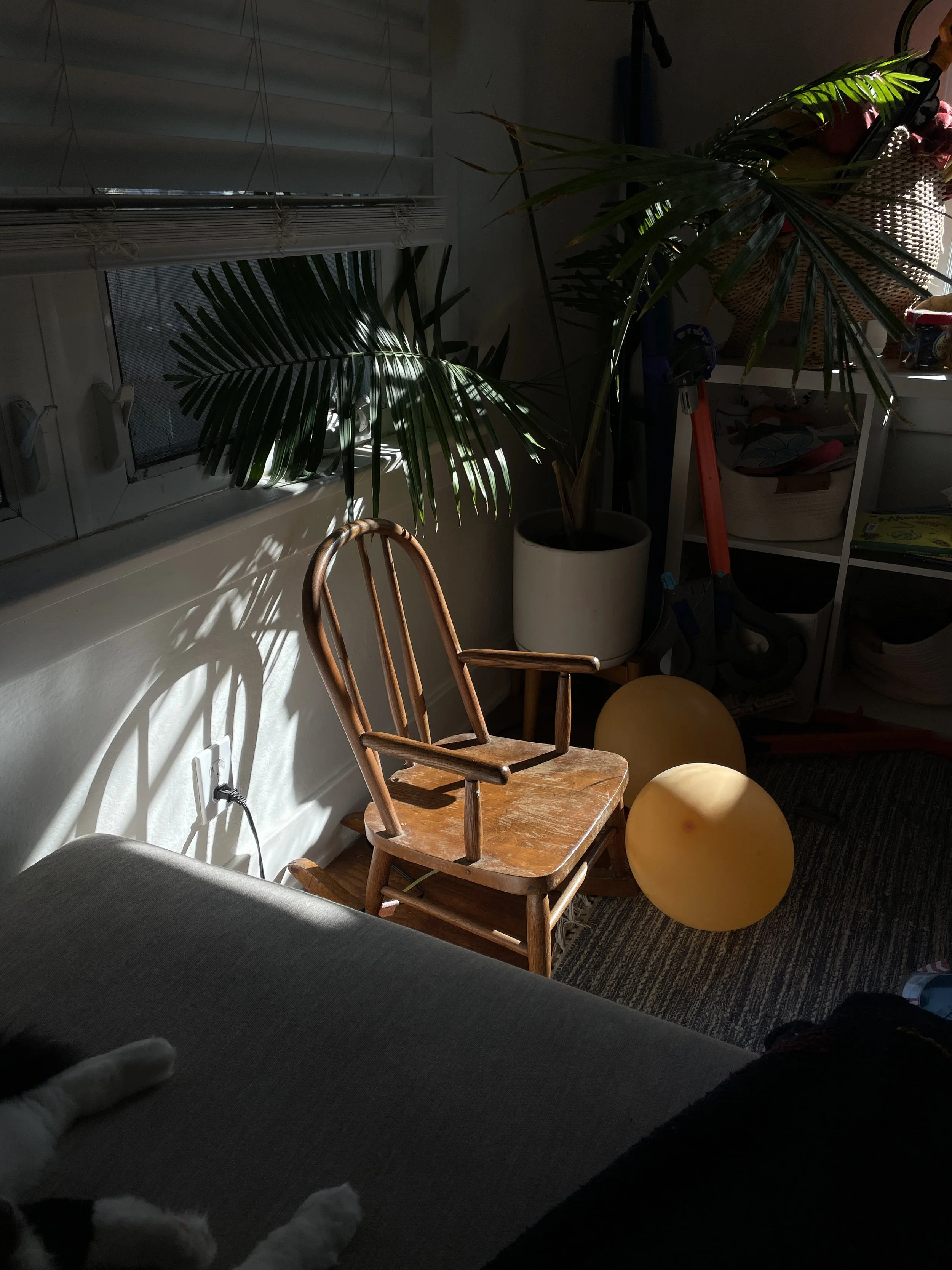 "Sun Sit" - dec 8 2025 - raw iphone photo