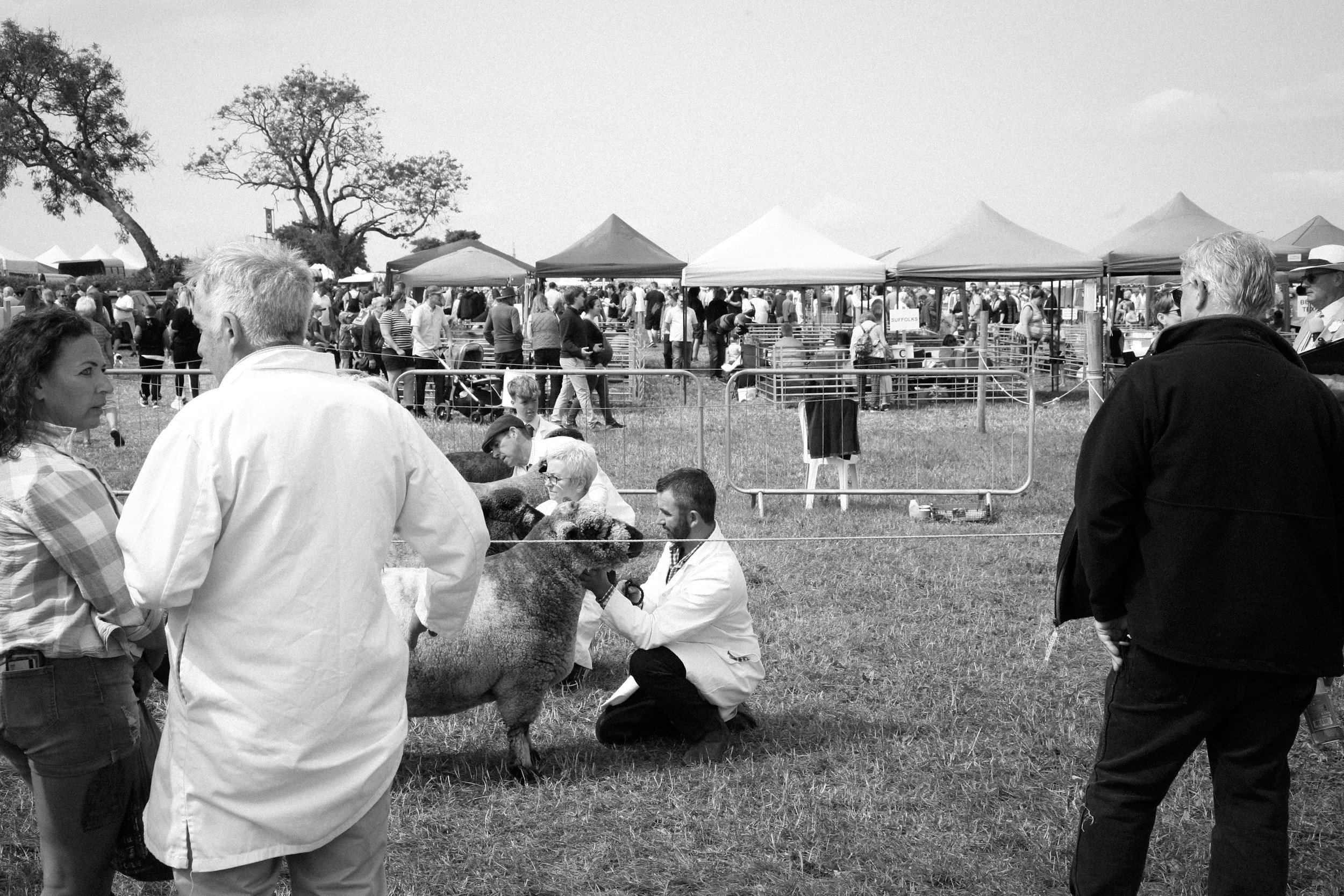 Burlington County Farm Fair