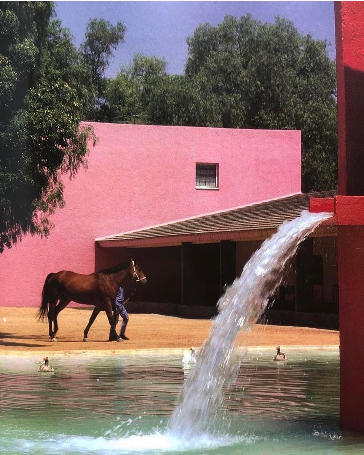 Dream destination 🐎
San Cristobal Stable 
by architect Luis Barrag&aacute;n
Photo @barton_alfie