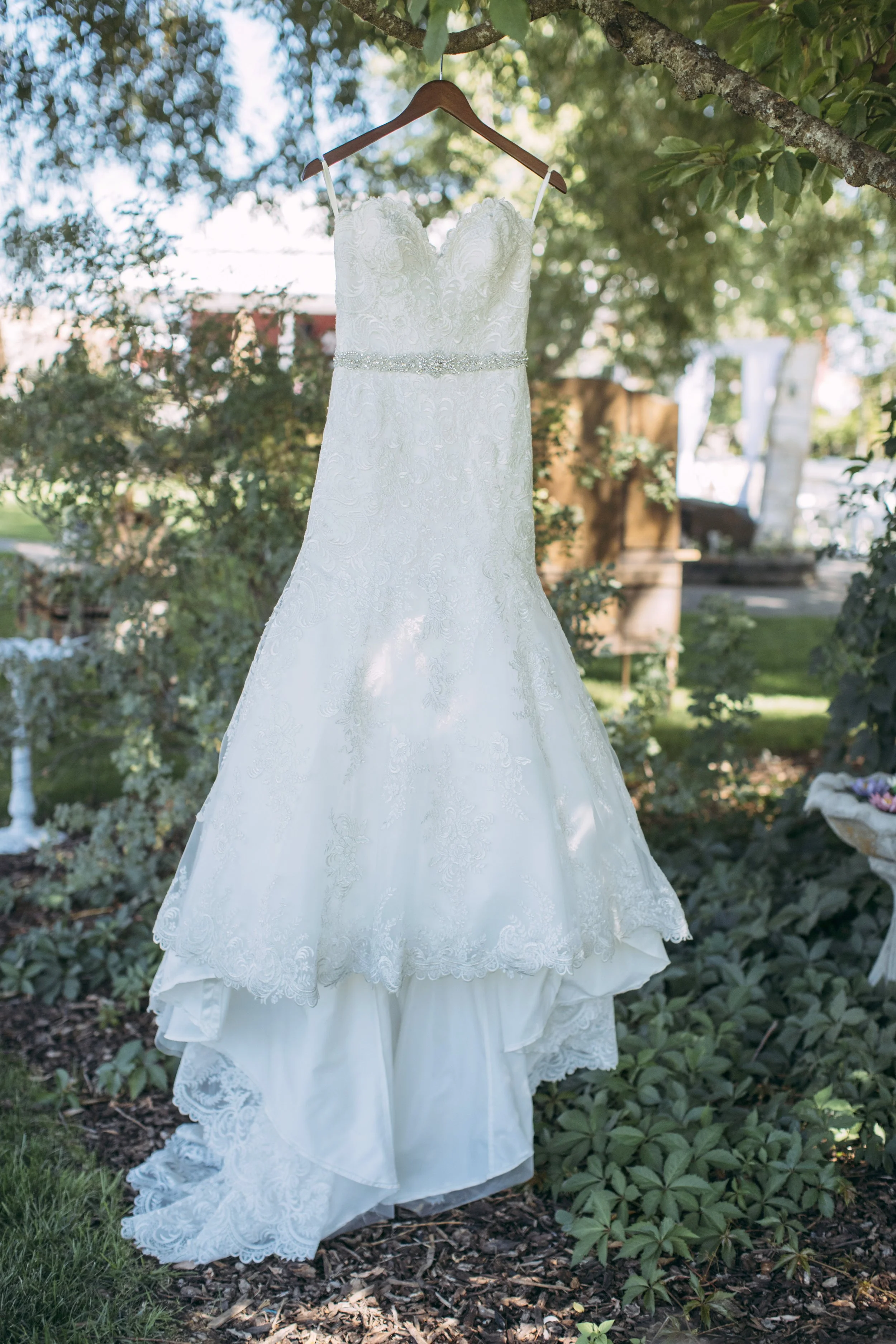 Elegant white wedding dress hanging on a tree branch outdoors.