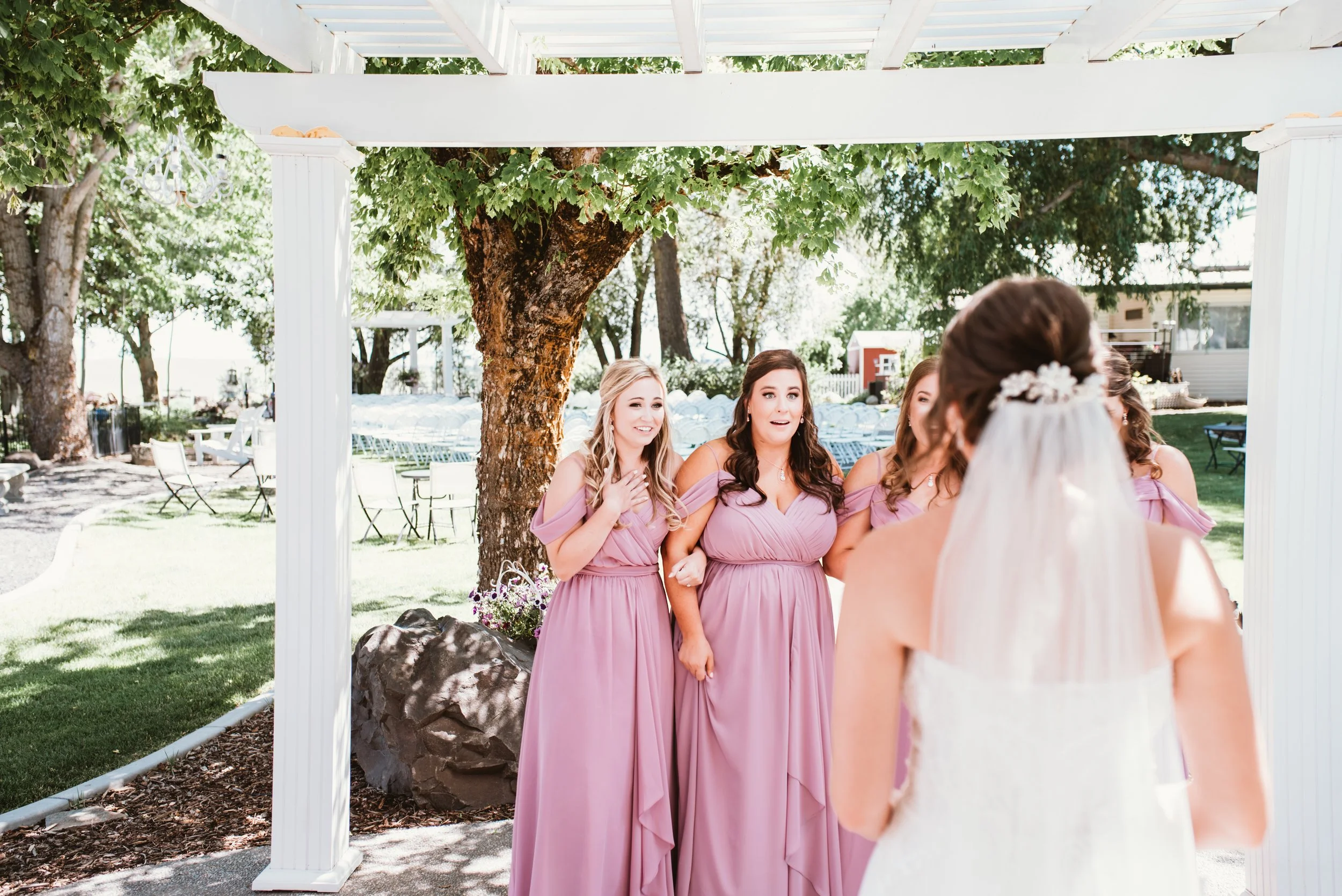 Bride in a white dress facing bridesmaids wearing mauve dresses, under a pergola in an outdoor setting with trees and chairs in the background.