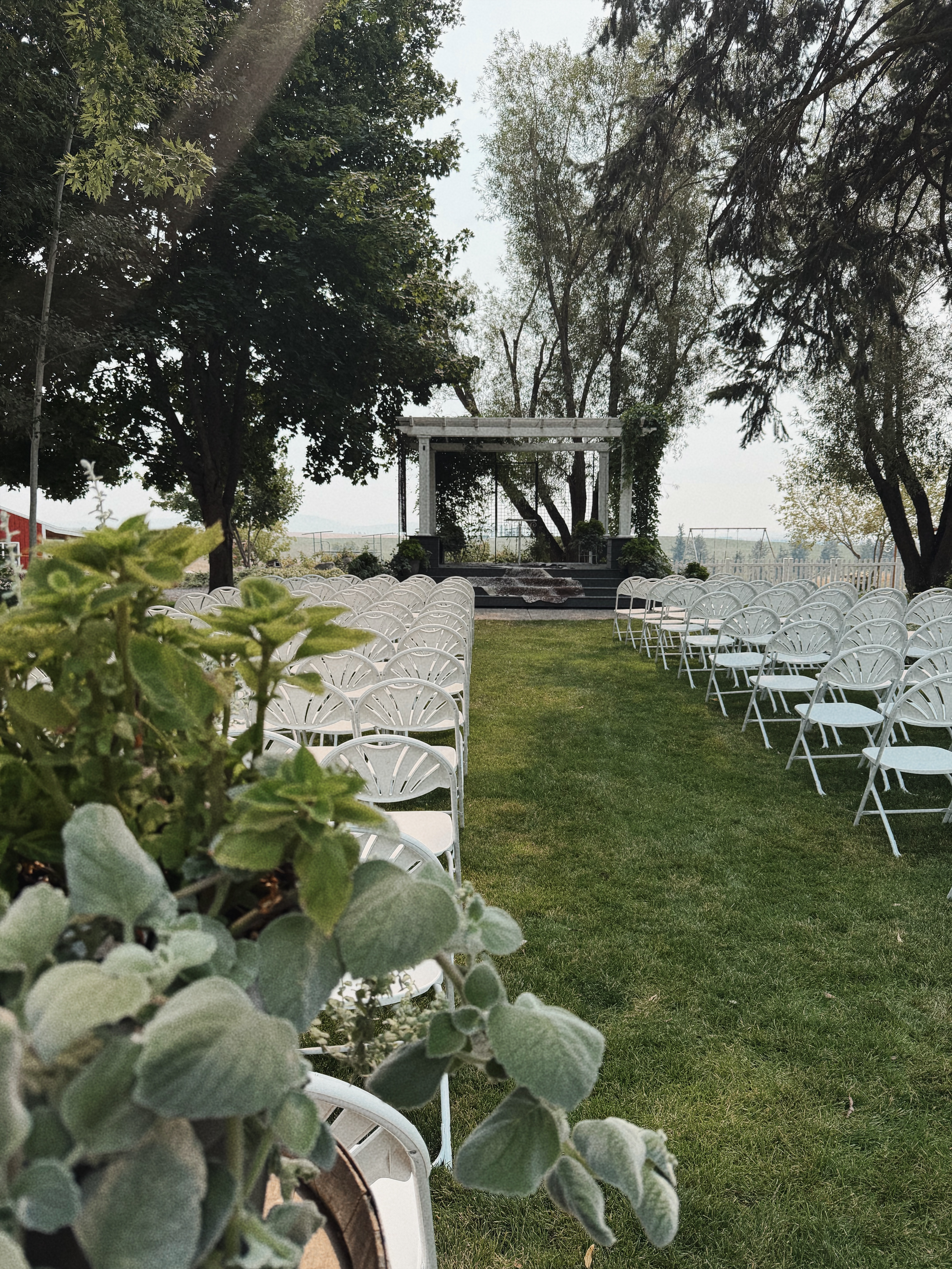 An outdoor wedding setup with white chairs arranged on a grassy lawn facing a wooden arbor with greenery, surrounded by tall trees under a cloudy sky.