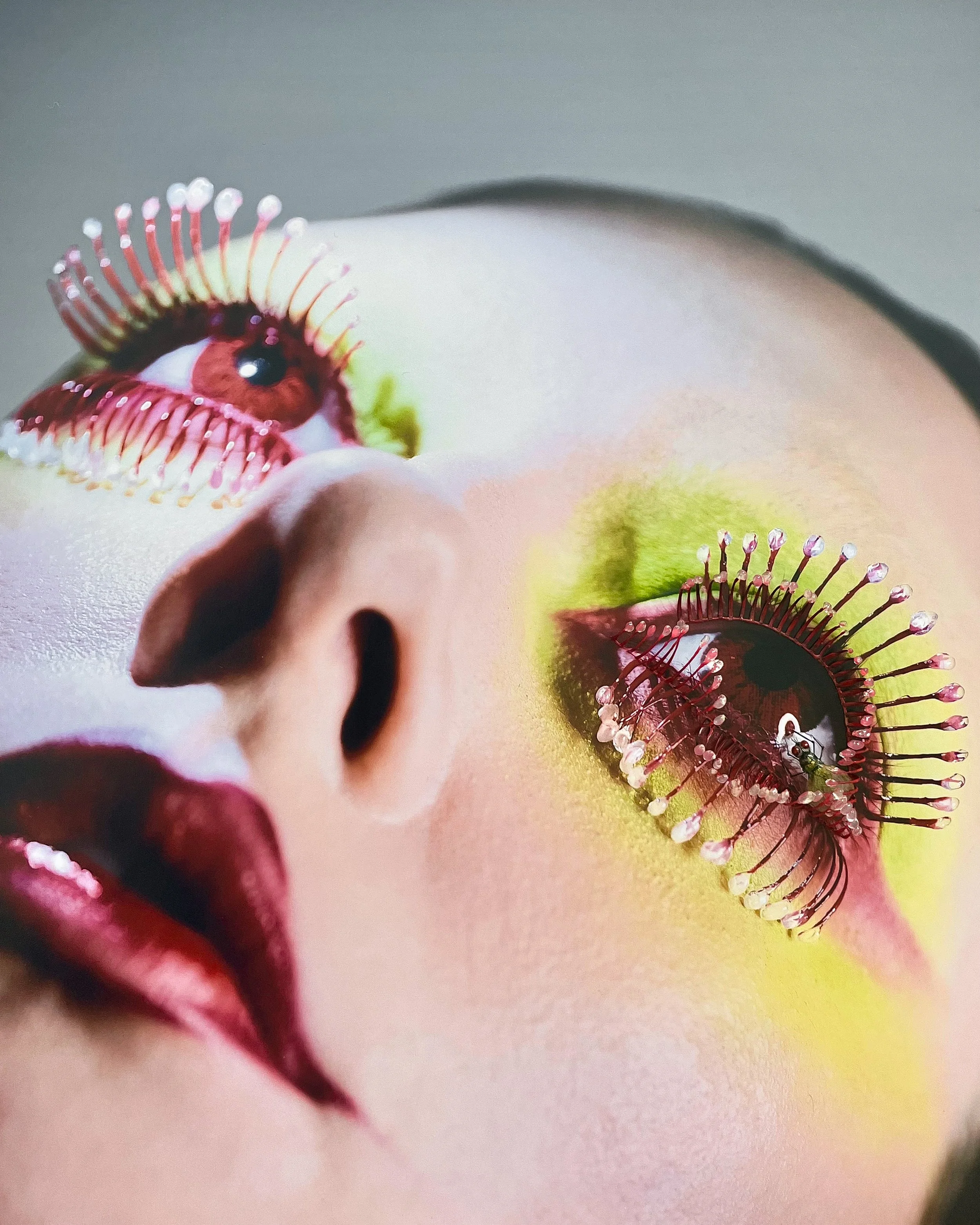 Dro Será Será, 2026