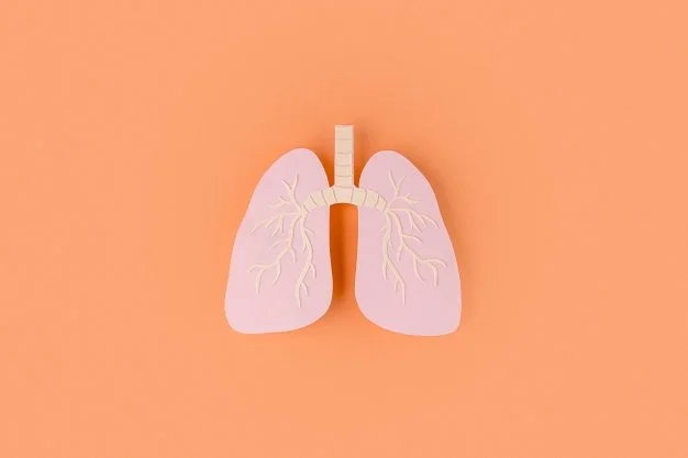 The Depth of Lungs - A journey into our Lungs with Kinesiology