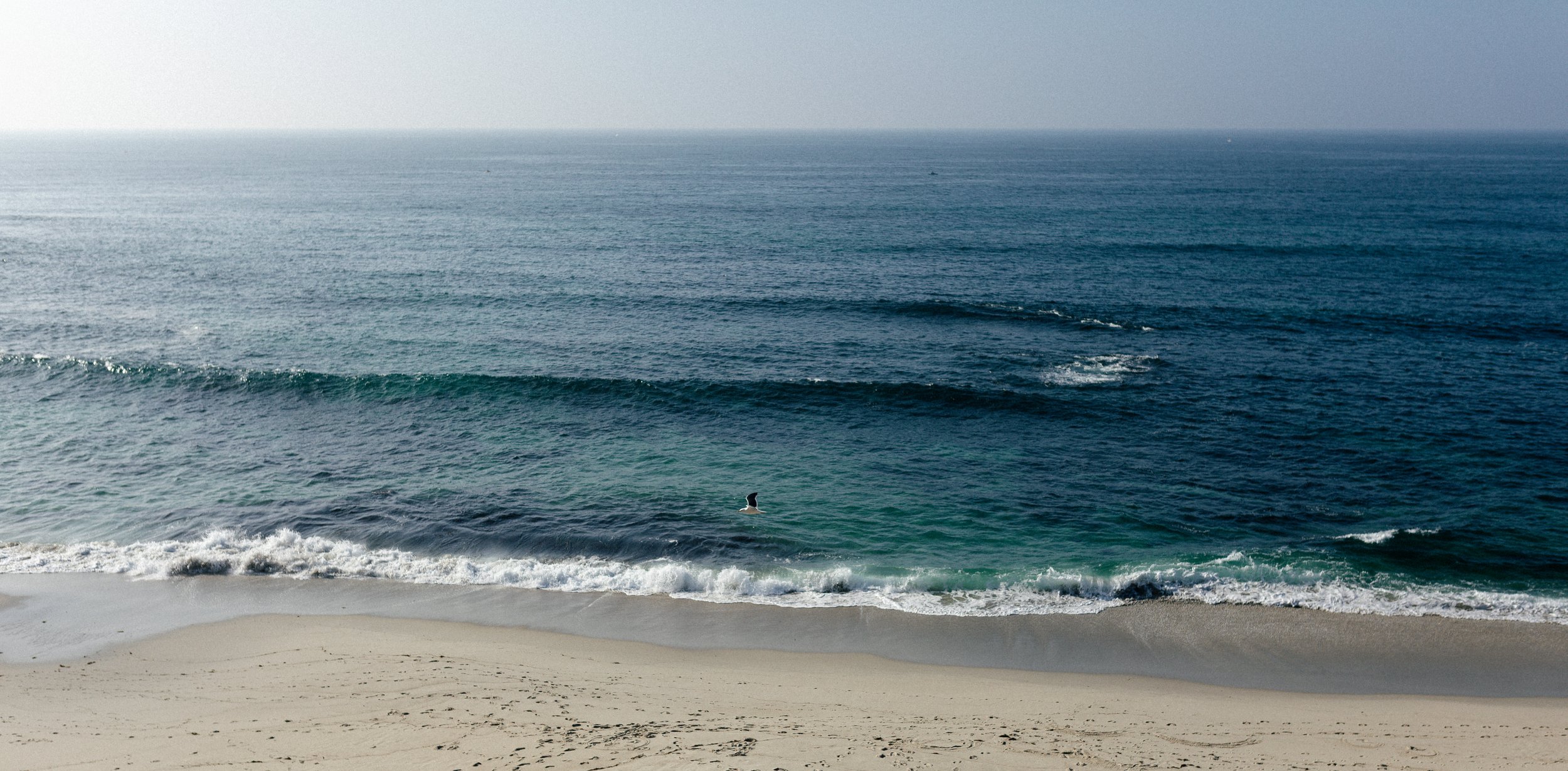 Ocean Views