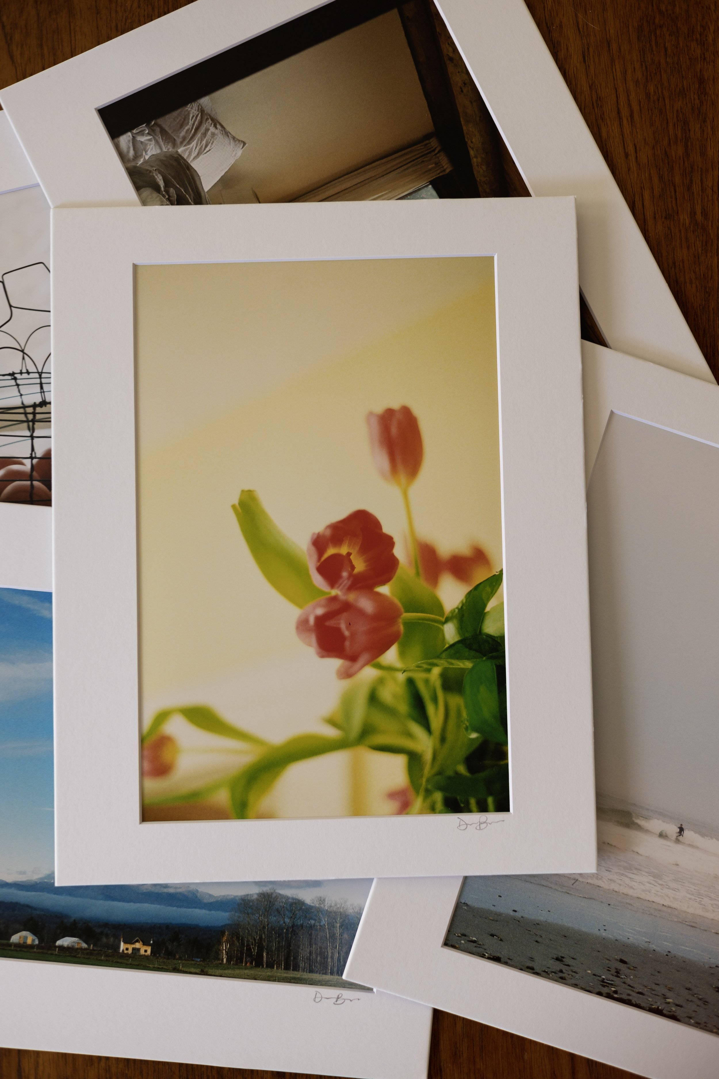 tulips
