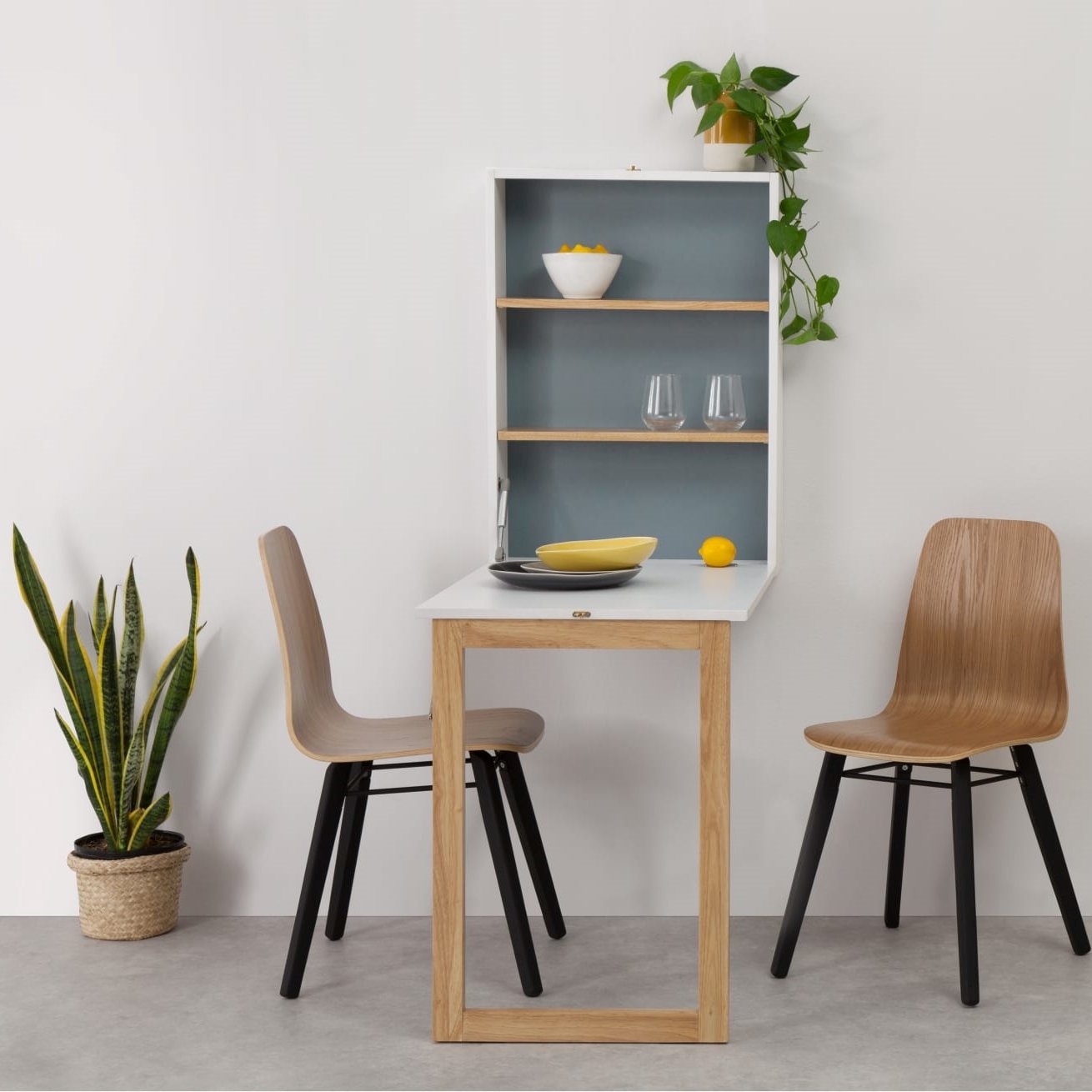 WALL-MOUNTED FOLD-DOWN TABLE