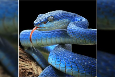 Now you will trample on serpents and scorpions