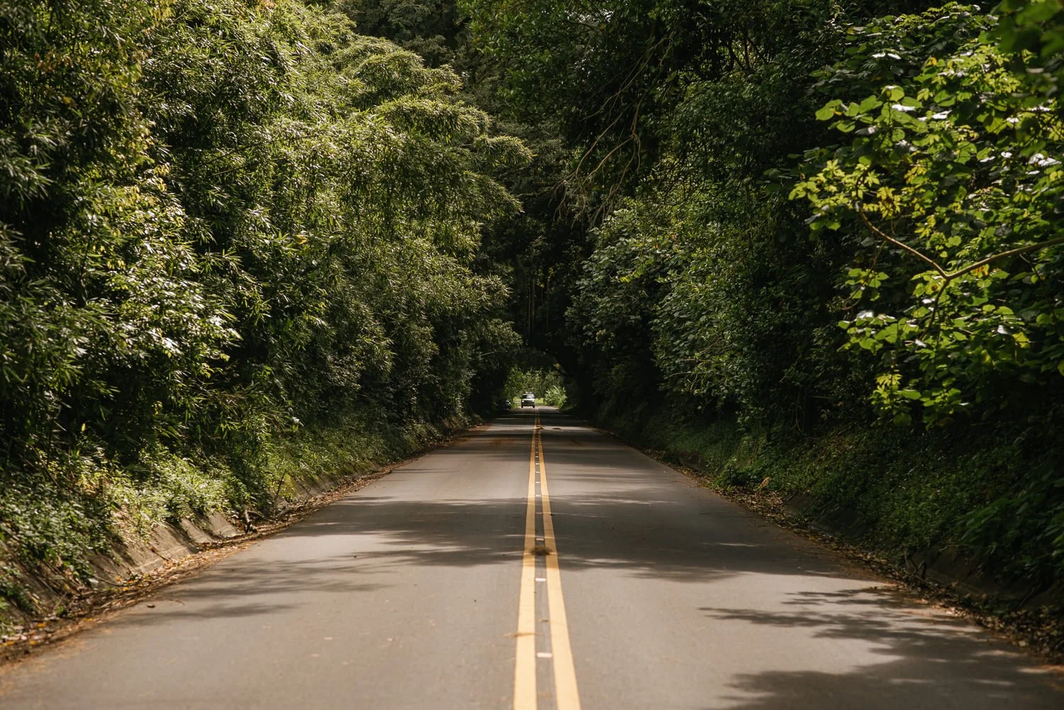 Professional travel photography in Oahu, Hawaii - landscape photography locations