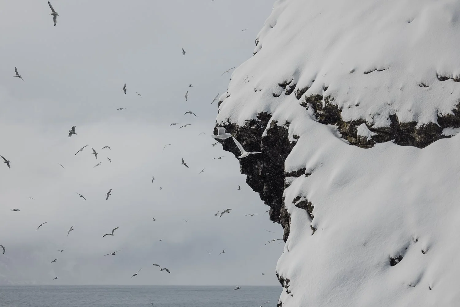 Ryan Waneka Photography Travel Visit Alaska Adventure-33.jpg