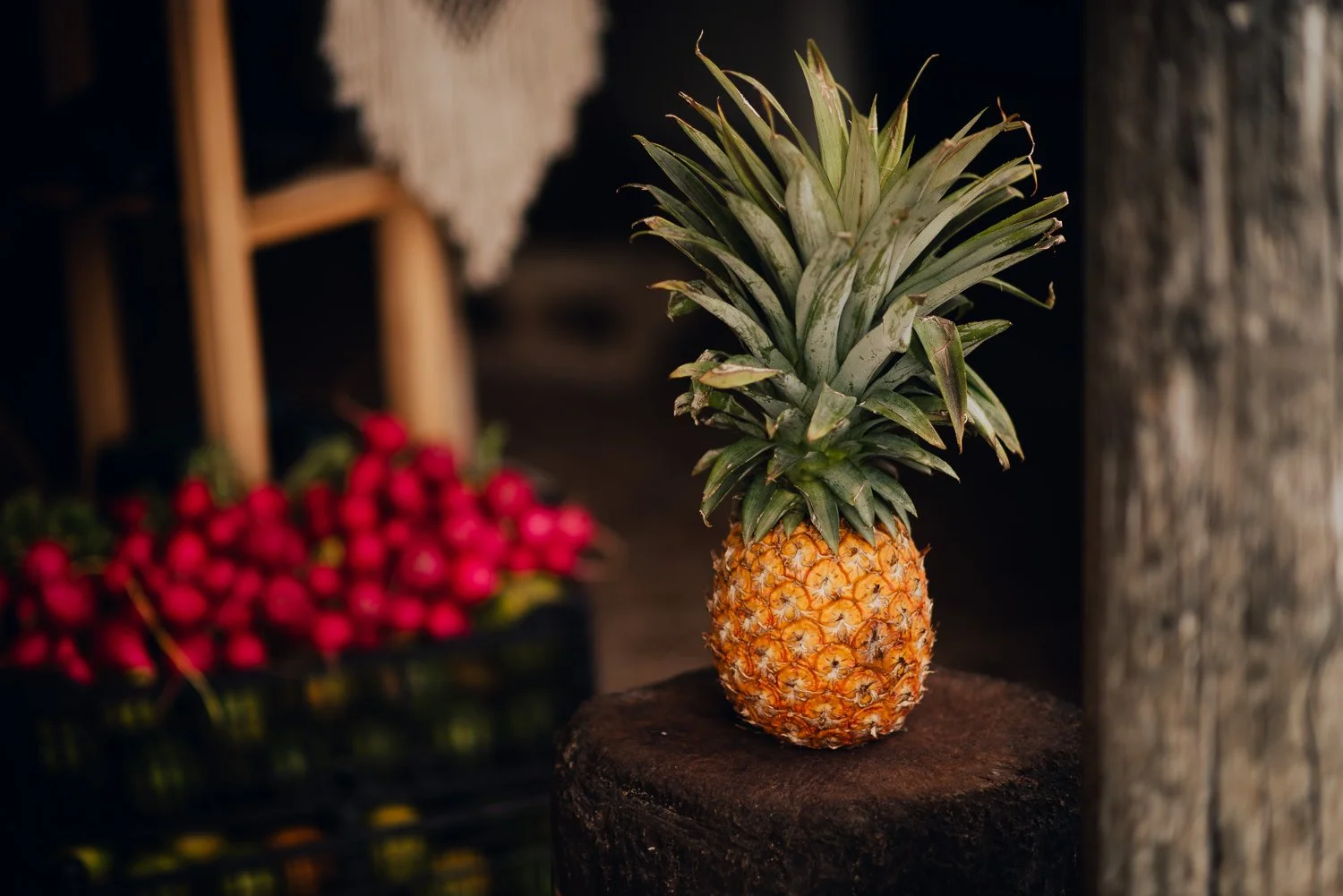 Professional travel photography of pineapple fruit stand in Tulum, Mexico