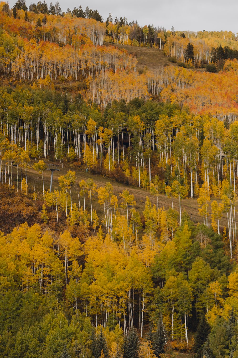 Ryan Waneka Photography Elevation Beaver Creek Country Music Festival-51.jpg