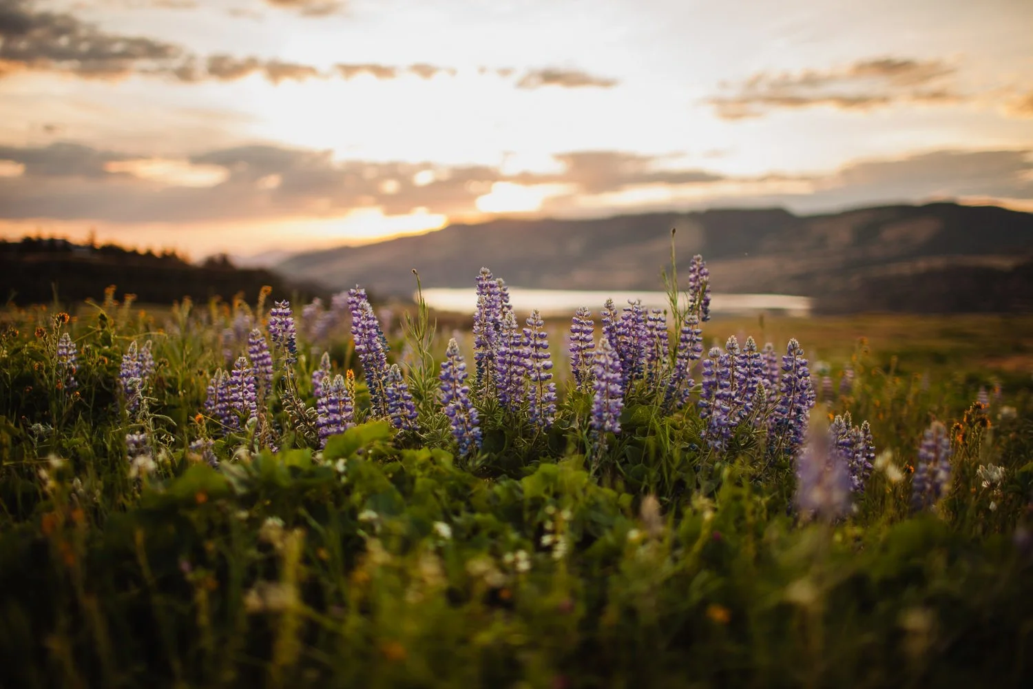 Professional travel photography at Multnomah Falls, Oregon