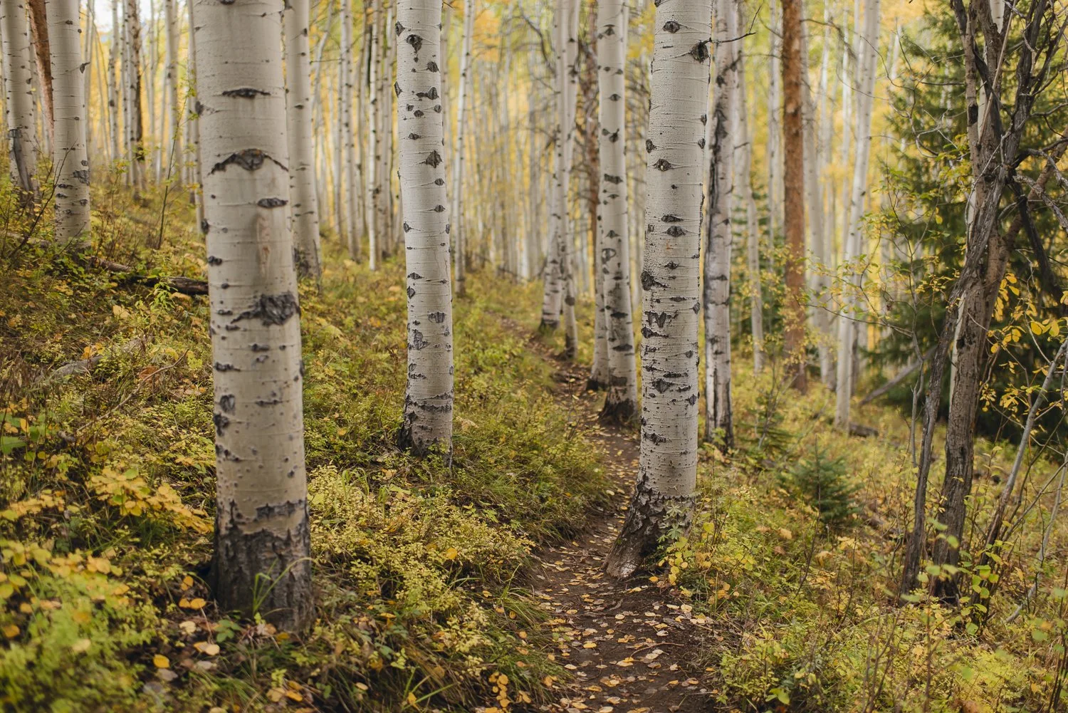 Ryan Waneka Photography Elevation Beaver Creek Country Music Festival-52.jpg