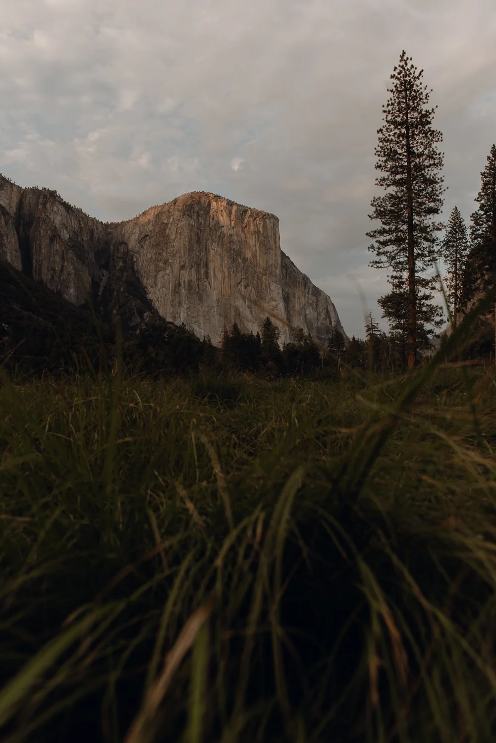 Ryan Waneka Photography Blog Yosemite National Park Trip Travel Adventure_28.jpg