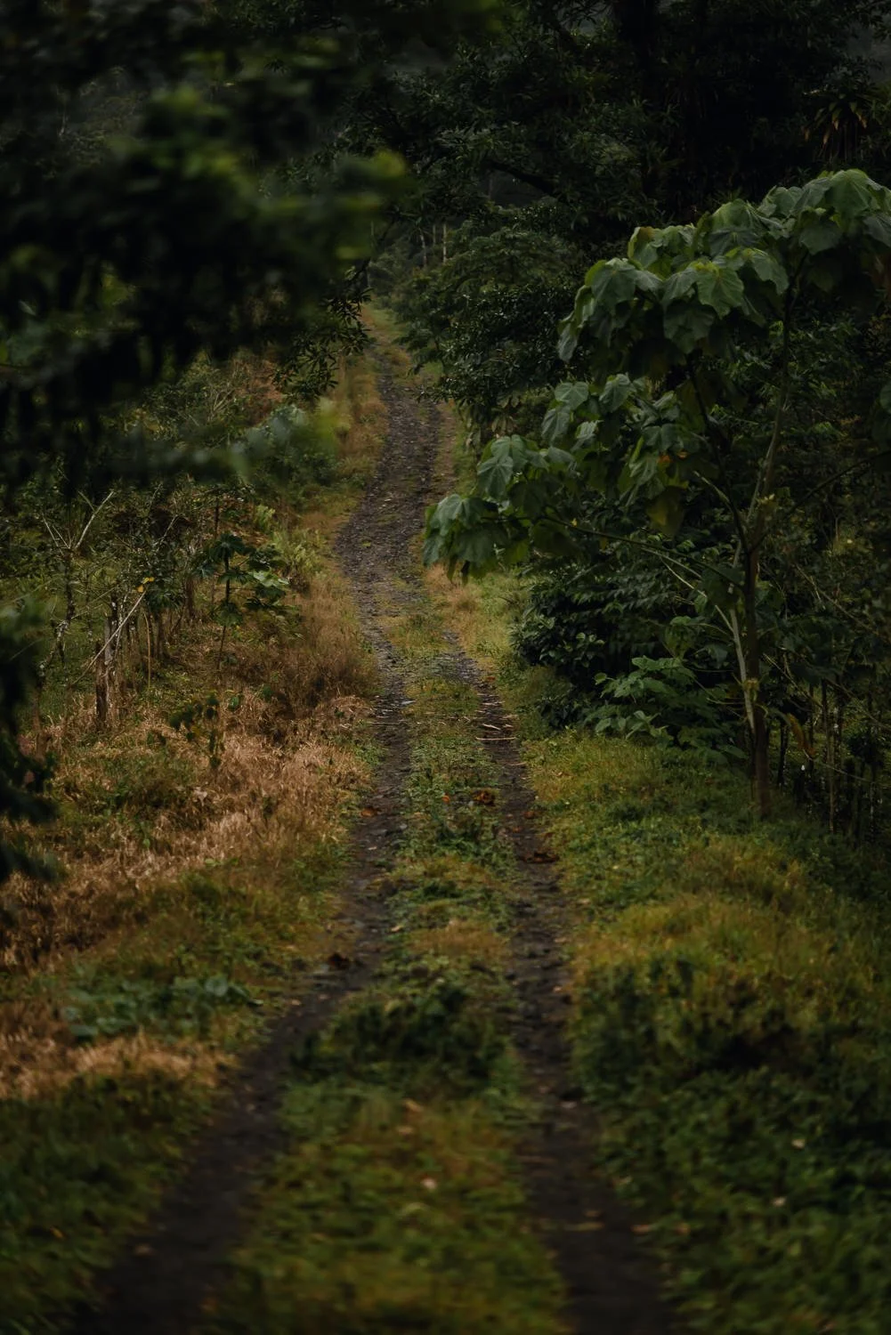Landscape photograph of Cerro Chato in Costa Rica