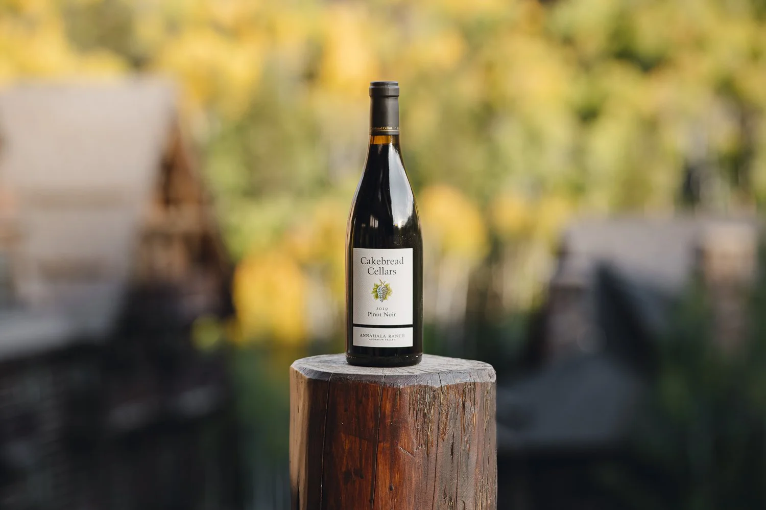 Ryan Waneka Photography Elevation Beaver Creek Country Music Festival-2.jpg