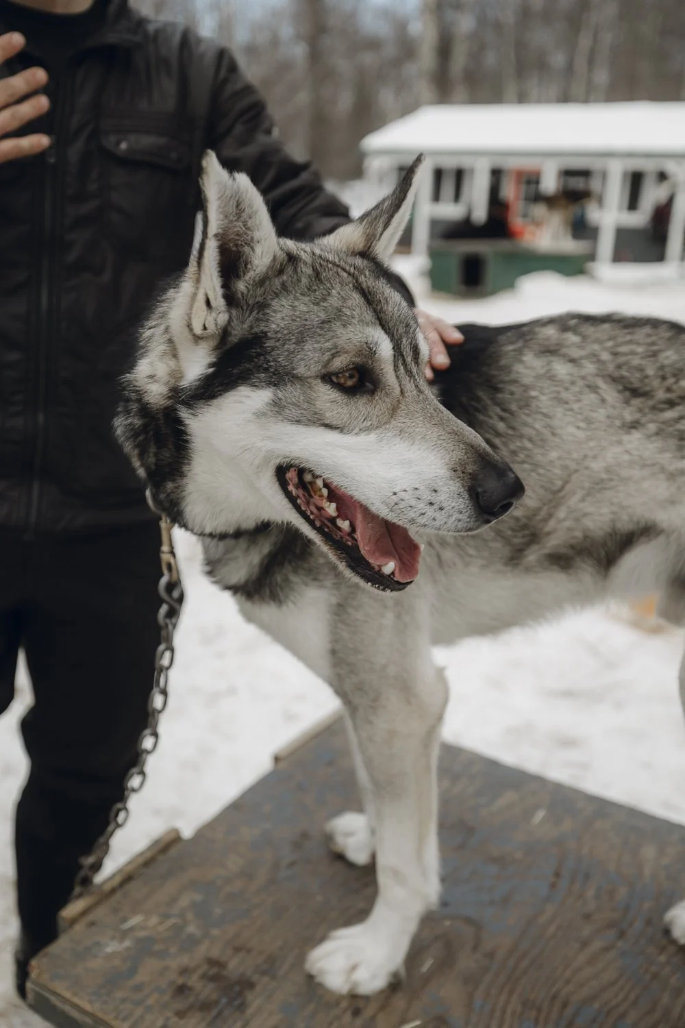 Ryan Waneka Photography Travel Visit Alaska Adventure-53.jpg