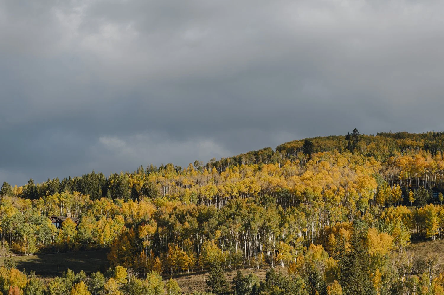 Ryan Waneka Photography Elevation Beaver Creek Country Music Festival-1.jpg