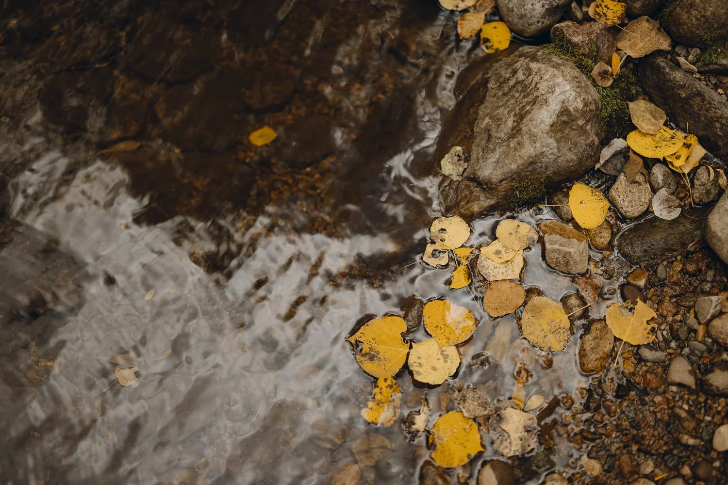 Ryan Waneka Photography Elevation Beaver Creek Country Music Festival 2023-2.jpg