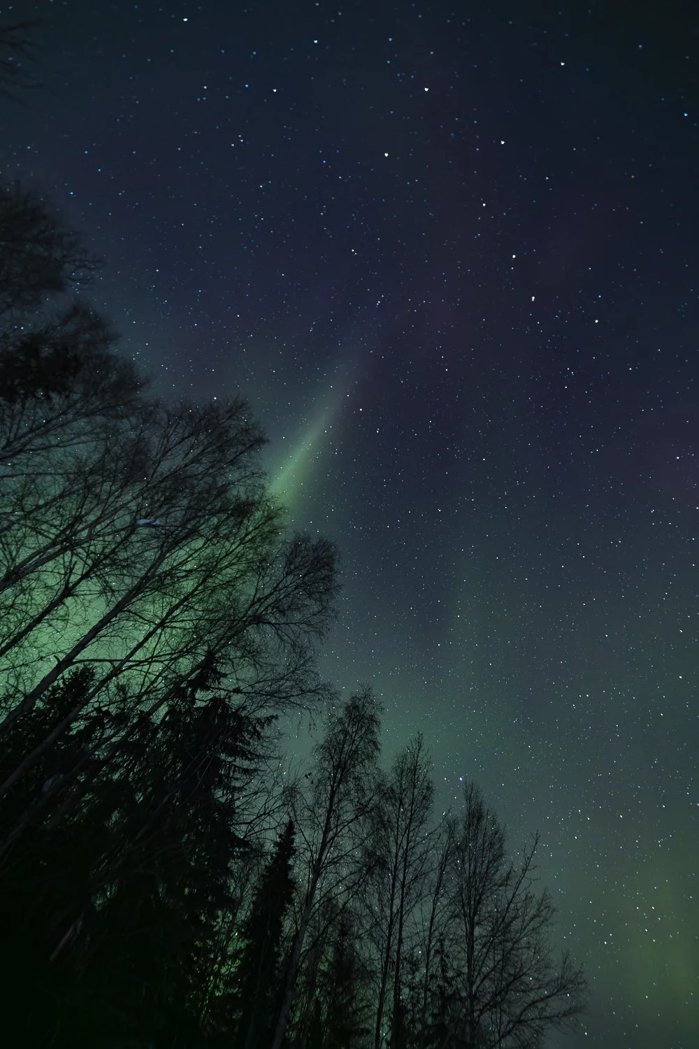 Ryan Waneka Photography Travel Visit Alaska Adventure-75.jpg