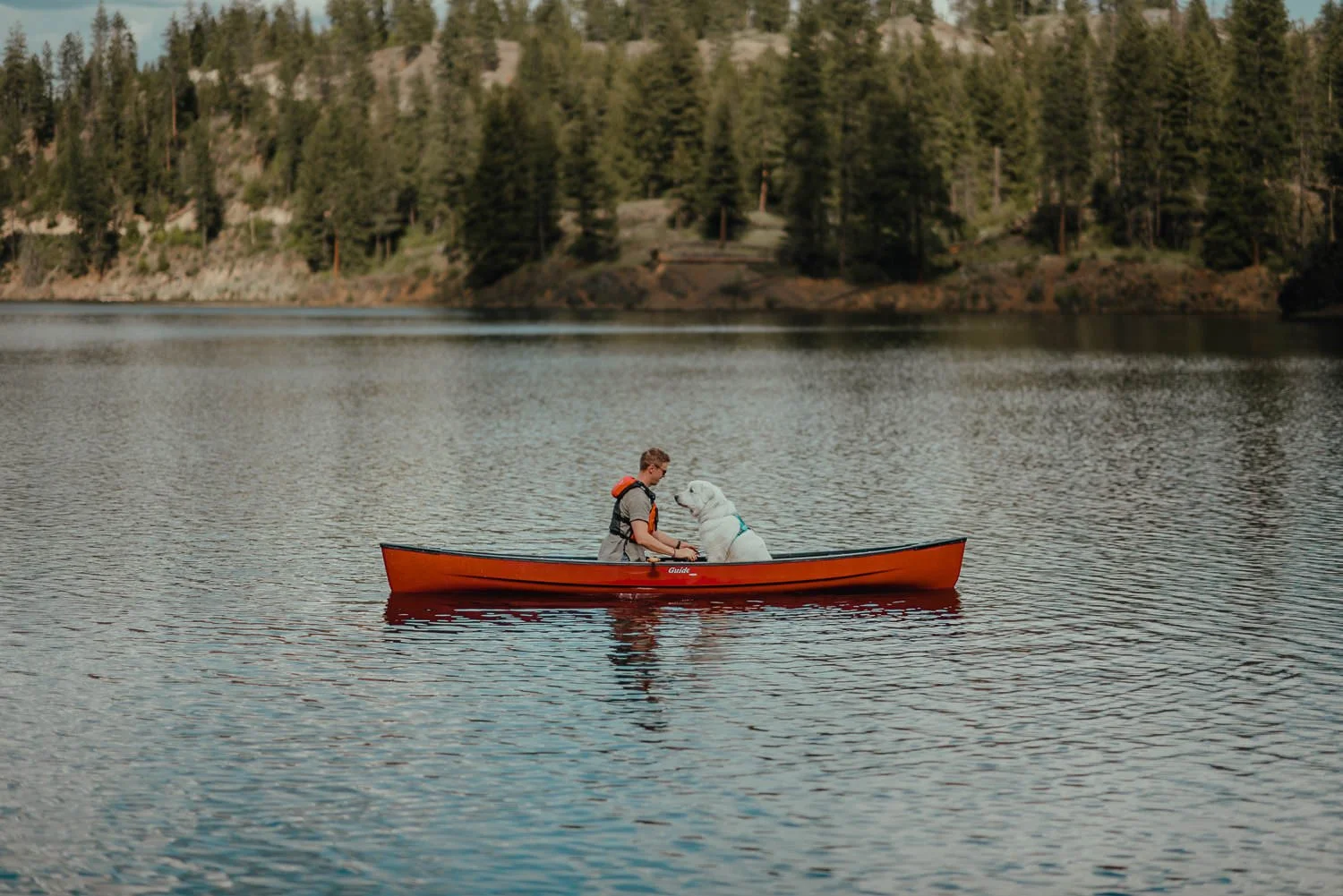 Professional adventure photography in Spokane, Washington - lifestyle portrait Colorado mountain dog in a canoe