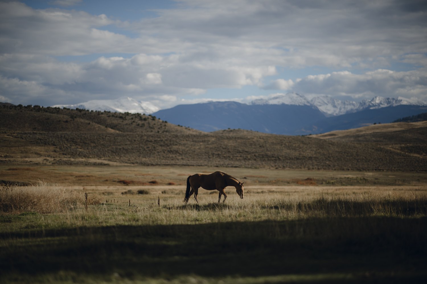 Ryan Waneka Photography Elevation Beaver Creek Country Music Festival-66.jpg