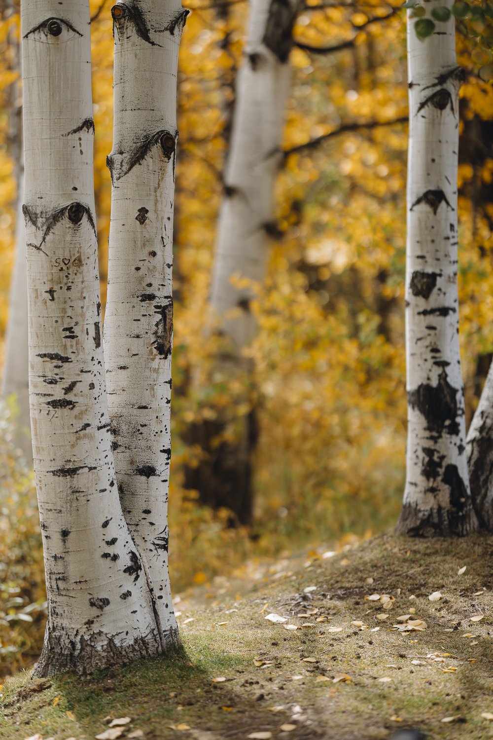 Ryan Waneka Photography Elevation Beaver Creek Country Music Festival 2023-4.jpg