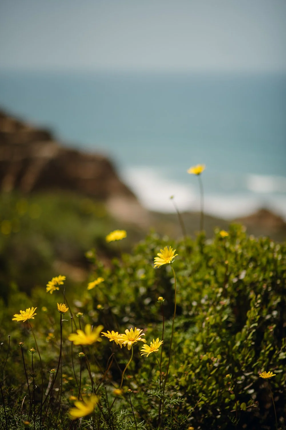 Professional landscape photography in San Diego, California