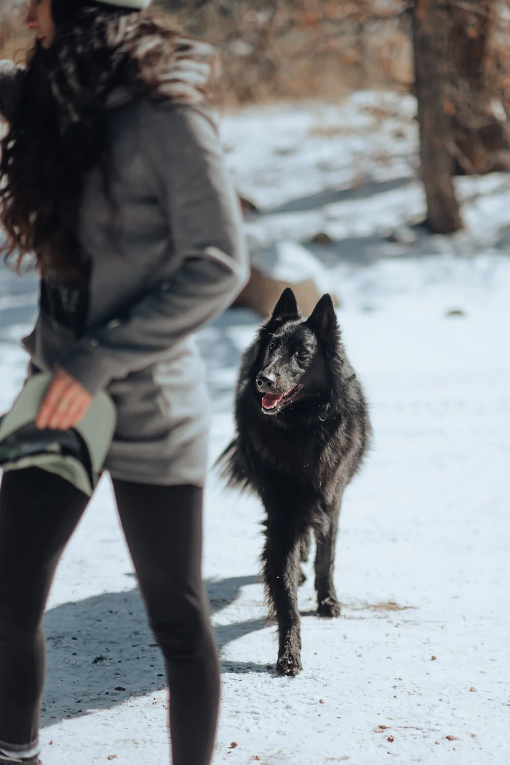 Professional lifestyle photography in the snowy mountains in Colorado Springs, Colorado