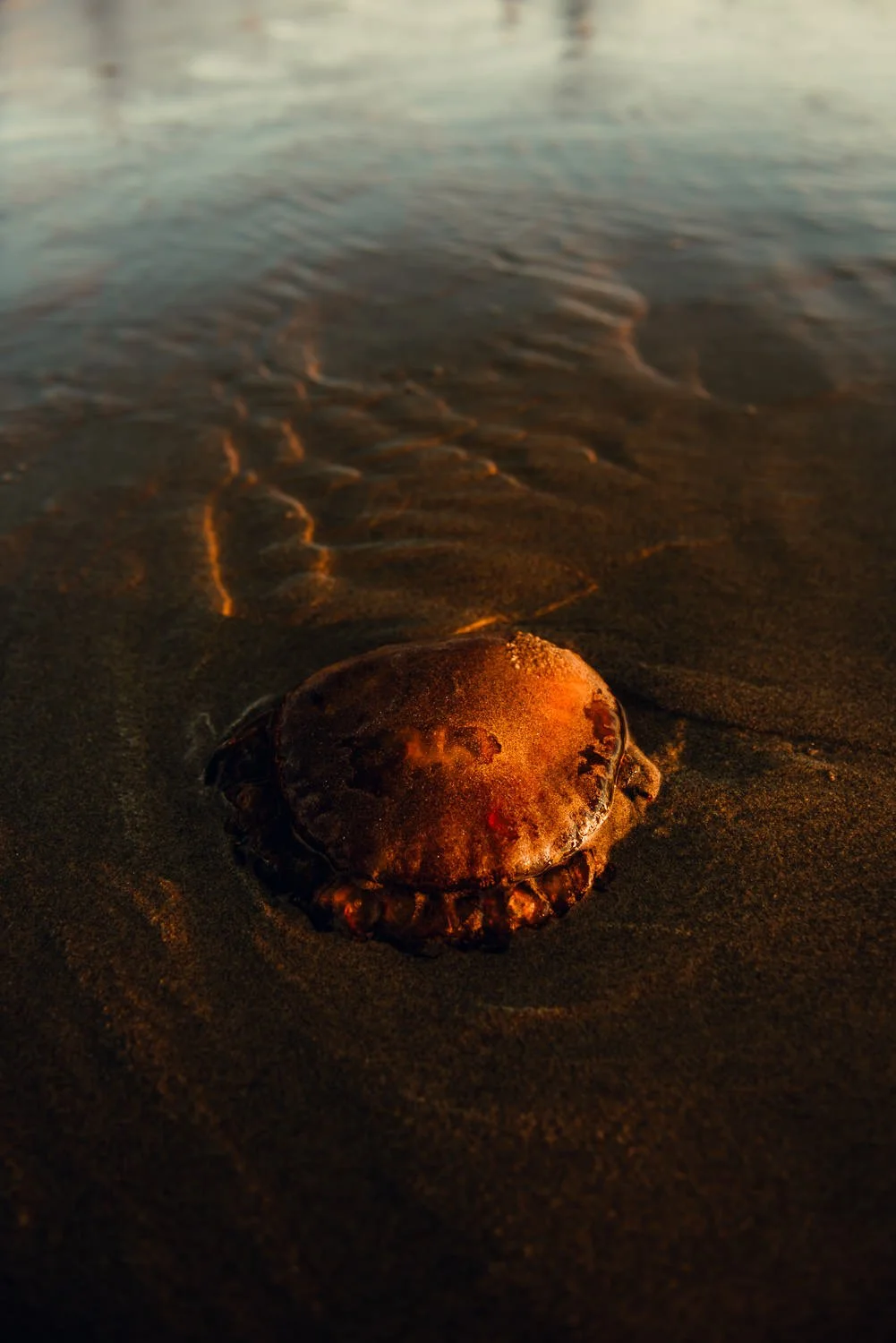 Professional travel photography in Cannon Beach, Oregon