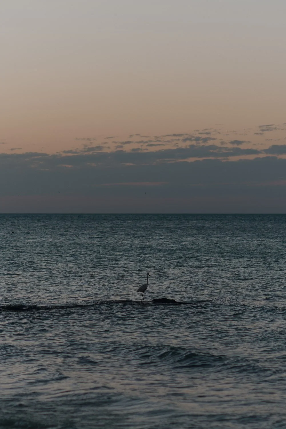 Ryan-Waneka-Photography-Travel-2021-Isla-Holbox-Mexico-10.jpg