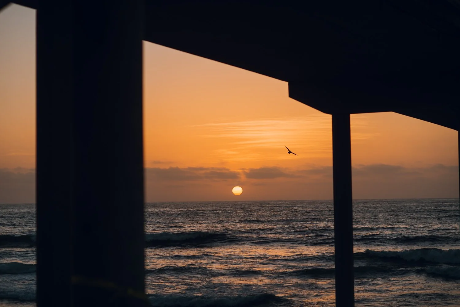 Professional lifestyle photography in San Diego, California