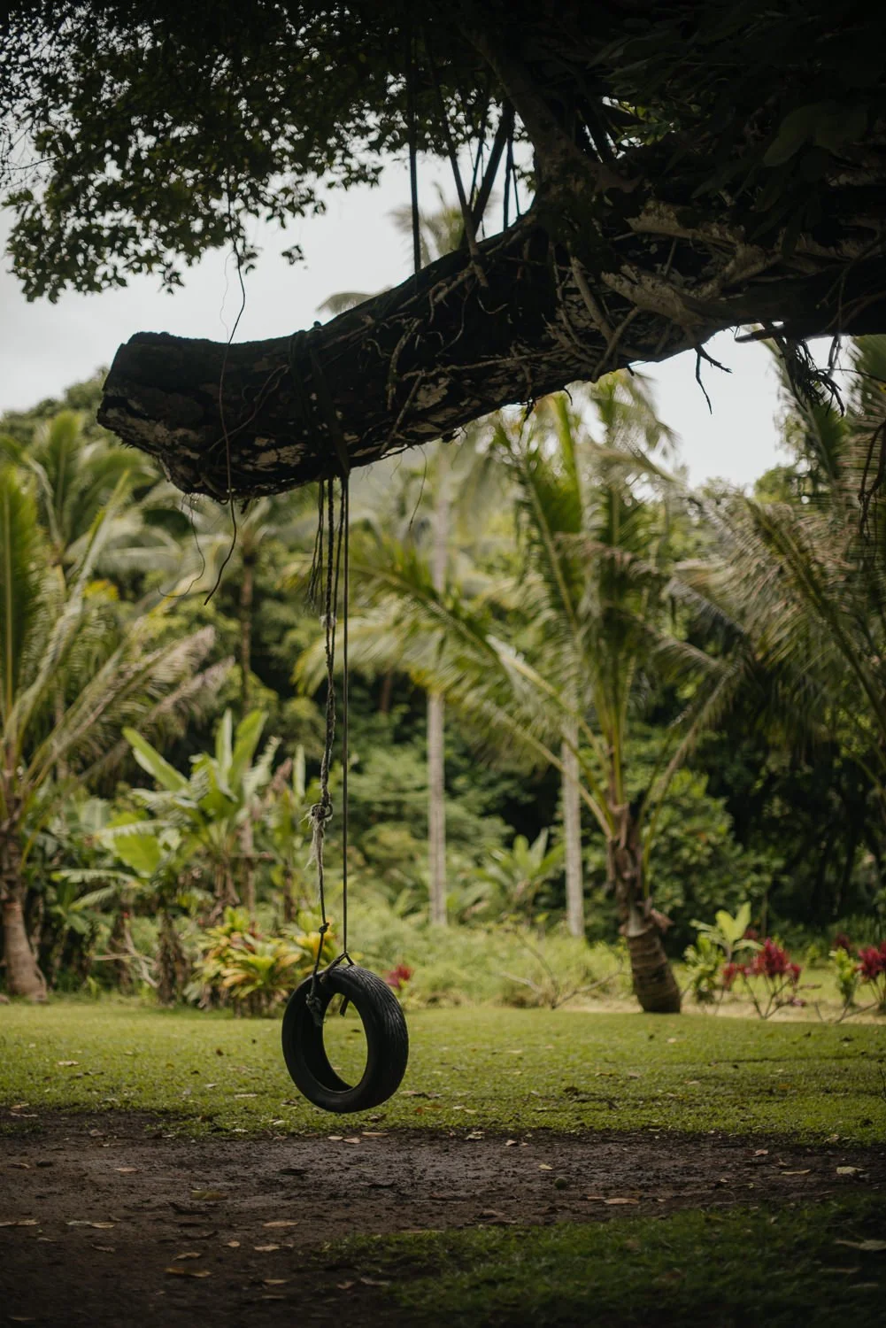 Professional travel photography in Oahu, Hawaii - nature photography
