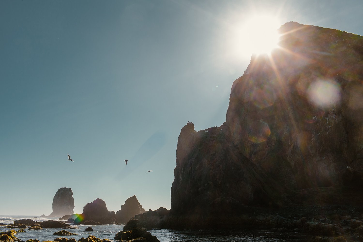 Professional travel photography in Cannon Beach, Oregon
