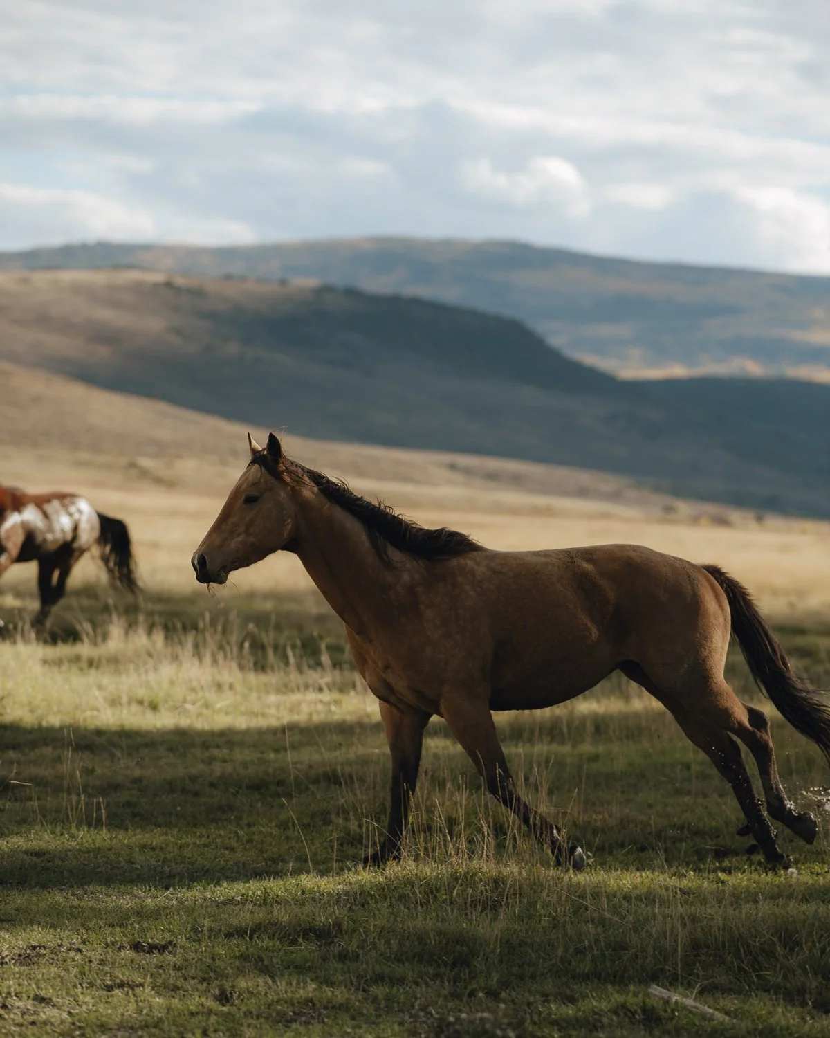 Ryan Waneka Photography Elevation Beaver Creek Country Music Festival-67.jpg