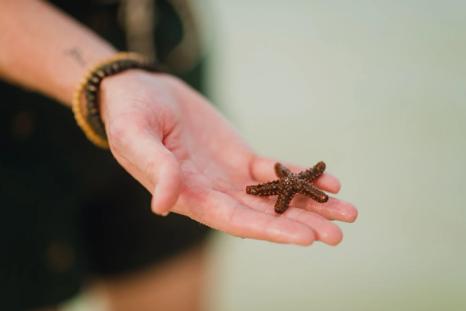 Ryan-Waneka-Photography-Travel-2021-Isla-Holbox-Mexico-34-starfish.jpg